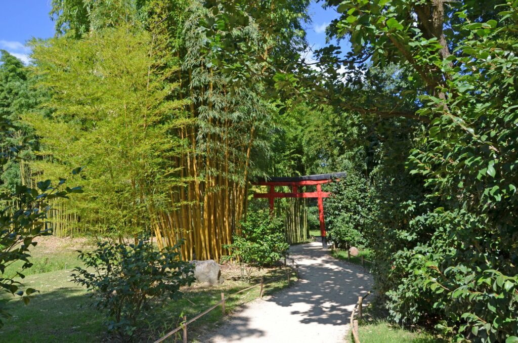 Bambusowy ogród Anduze