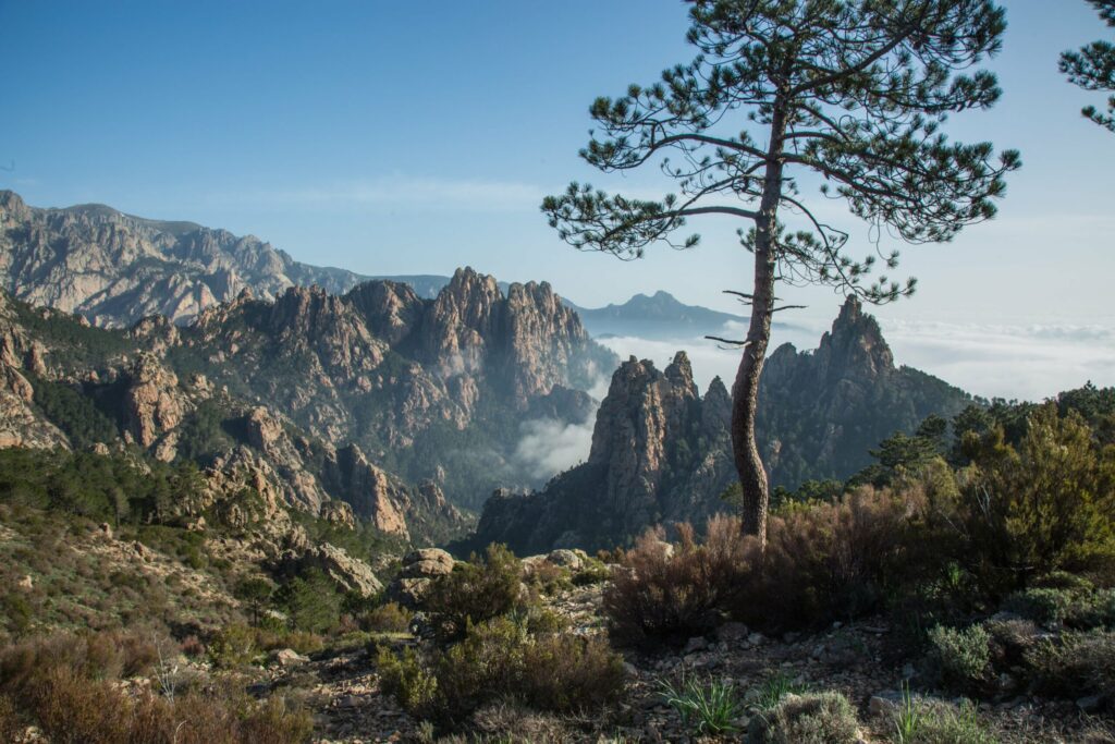 Corse montagne nature en France