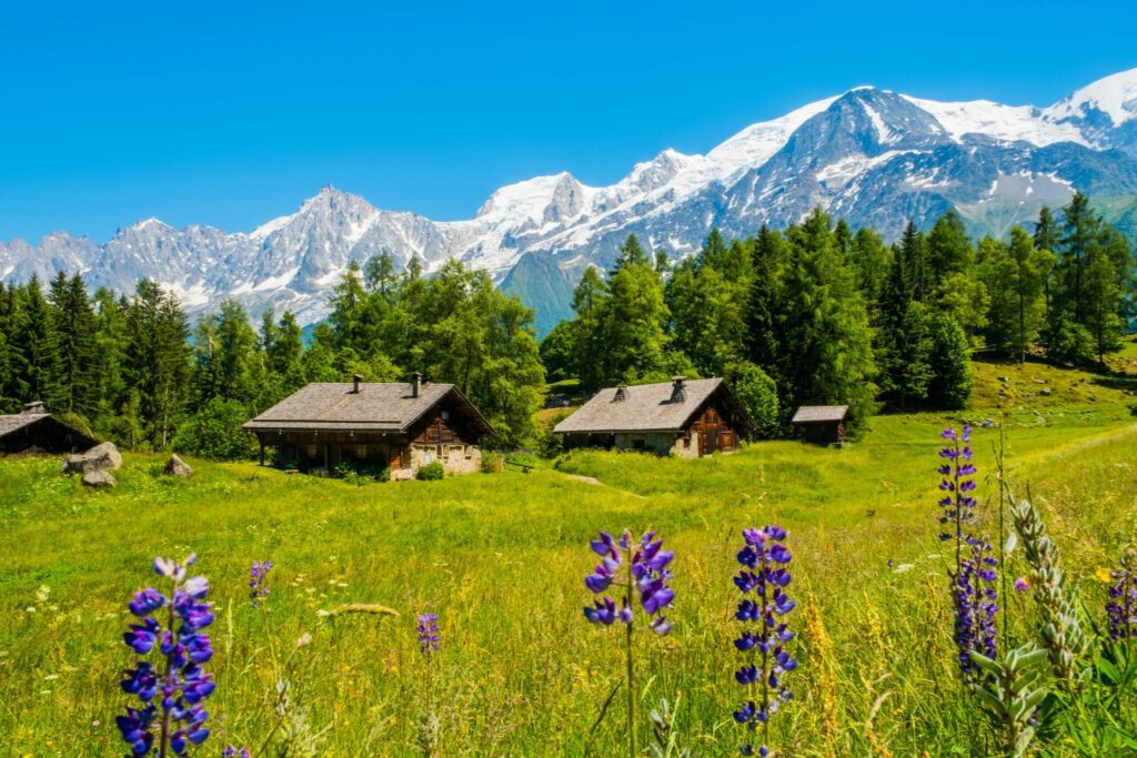 la nature en Savoie