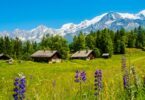 la nature en Savoie