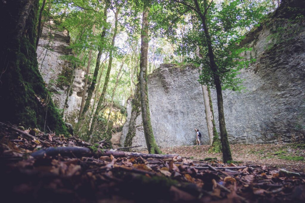 Au coeur des forêts de la Haute-Marne