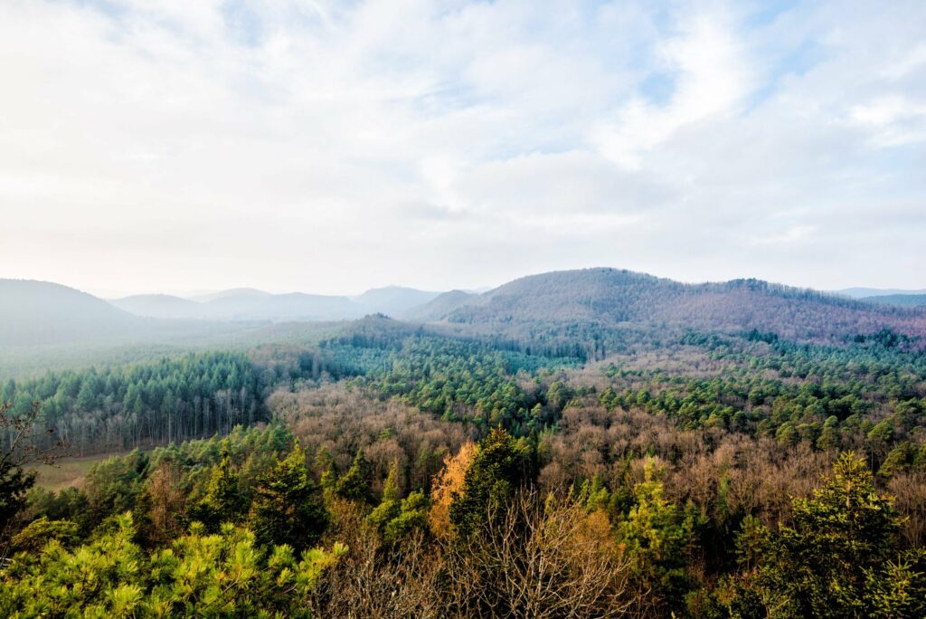 Parc naturel régional des Vosges du Nord