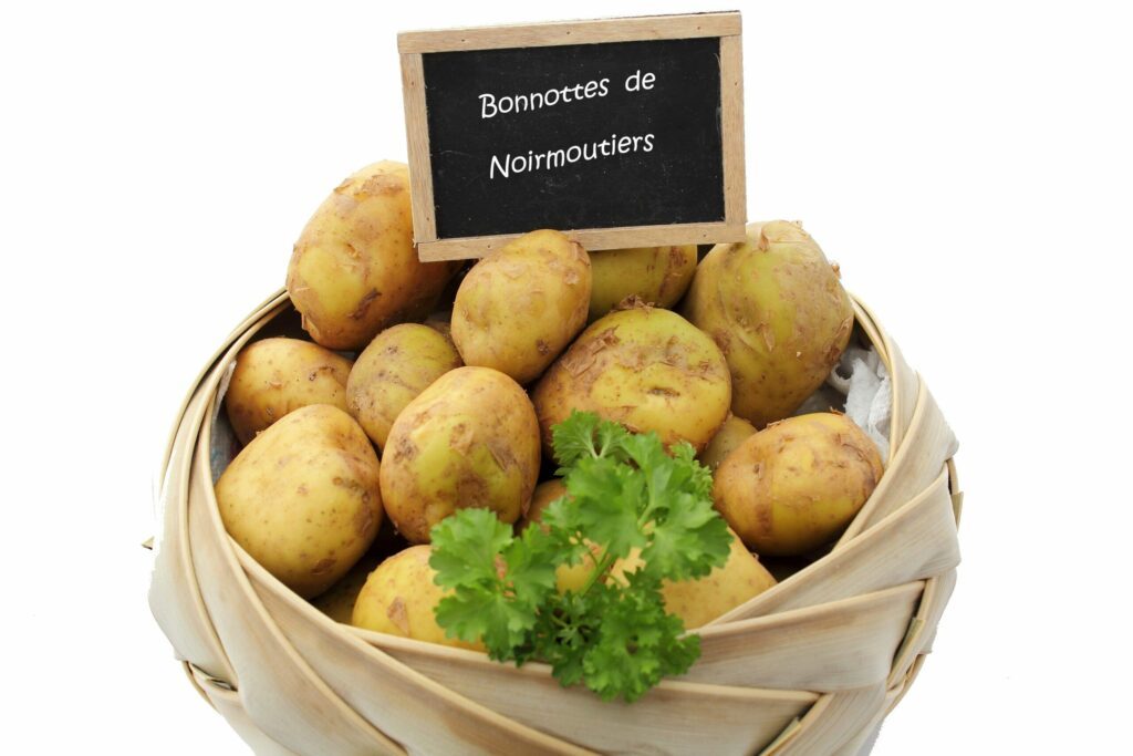 Bonnottes