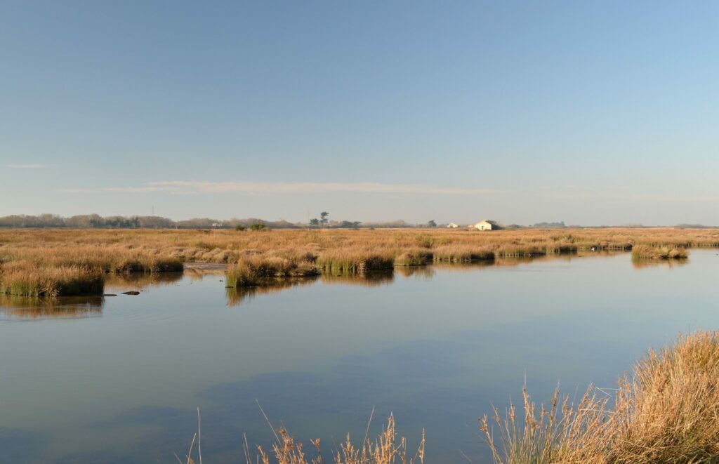 Polder de Sébastopol