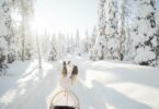 que voir en Finlande l'hiver