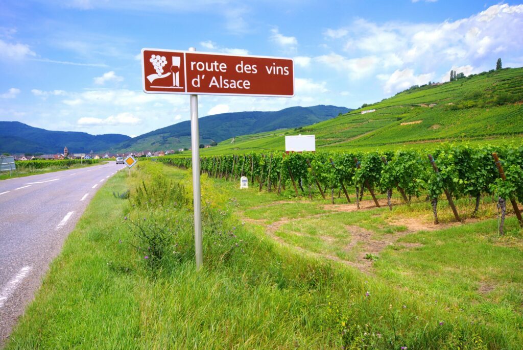 route des vins d'Alsace