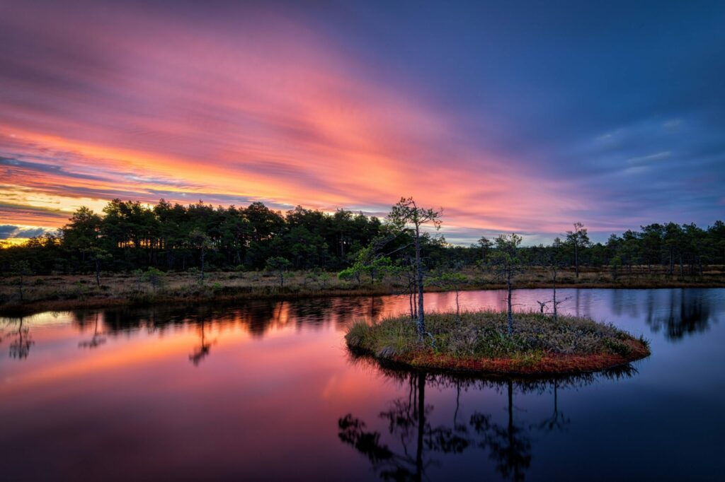 Soomaa national park paysages d'Estonie