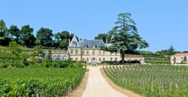 Tourisme et vin en Gironde