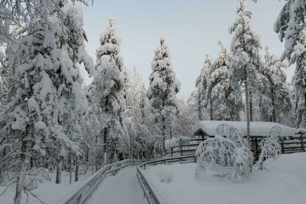 zoo Ranua en hiver en Finlande