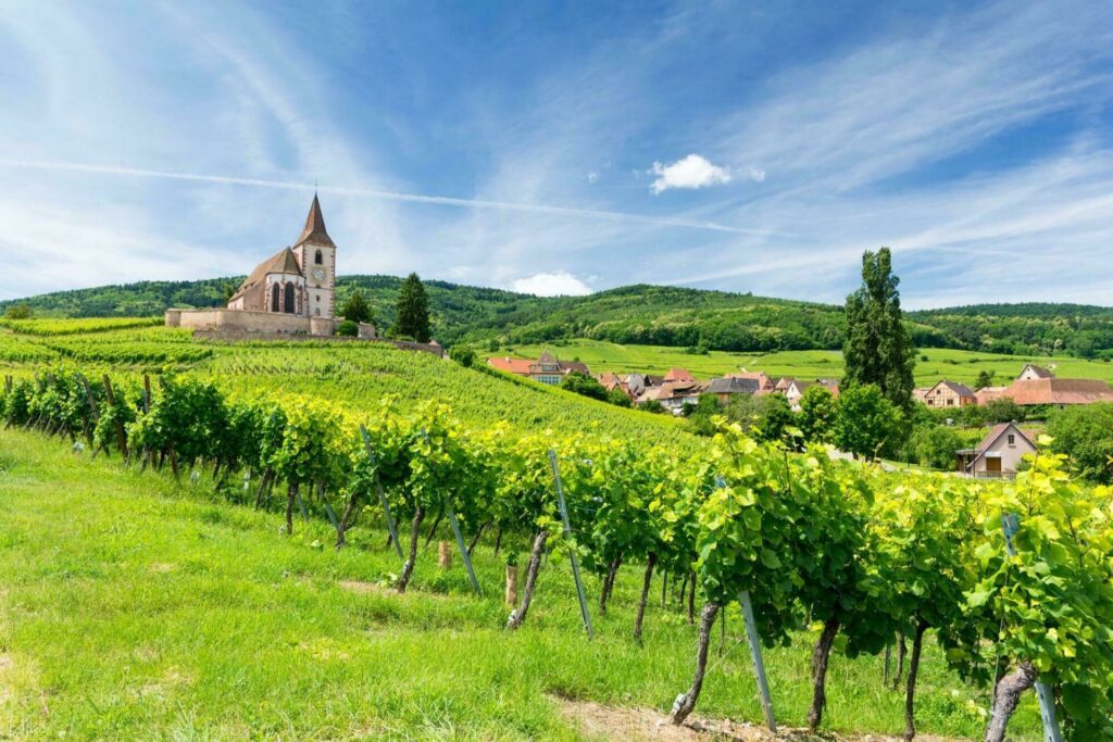 Votre journée sur-mesure en Alsace