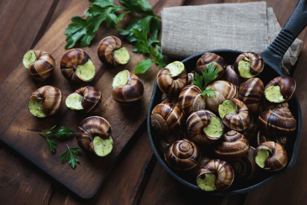 Les escargots de Bourgogne