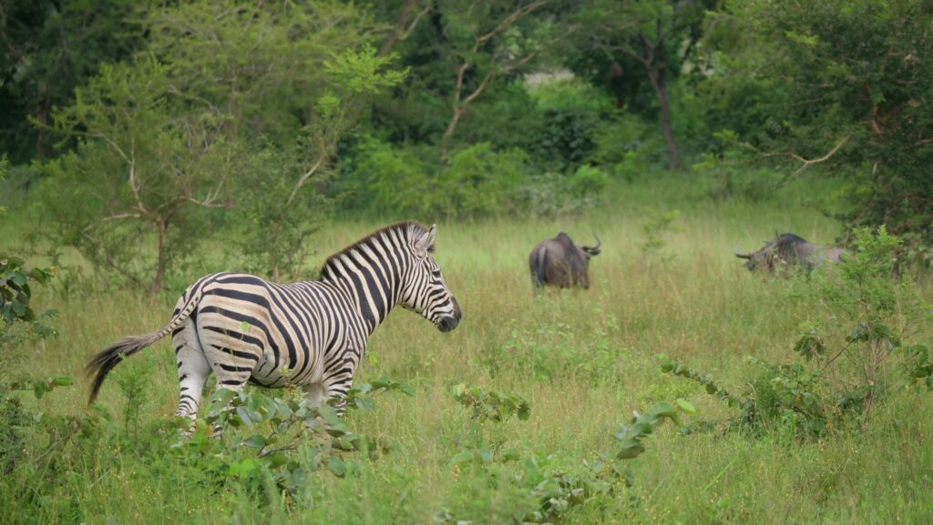 Parc national de la Kéran