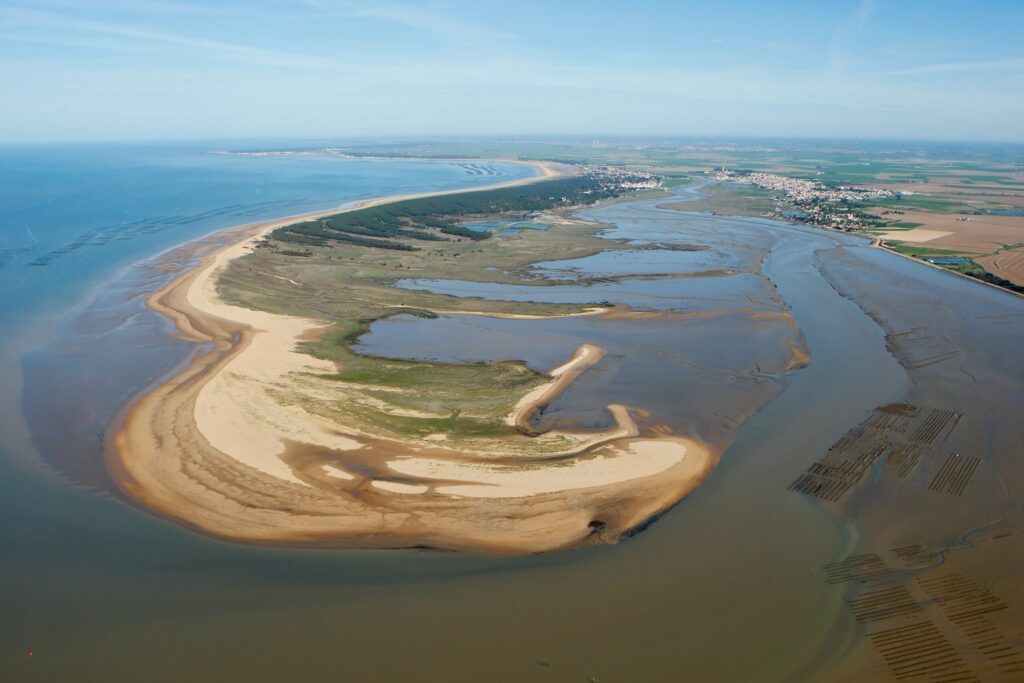 pêcher à l’Aiguillon-sur-Mer