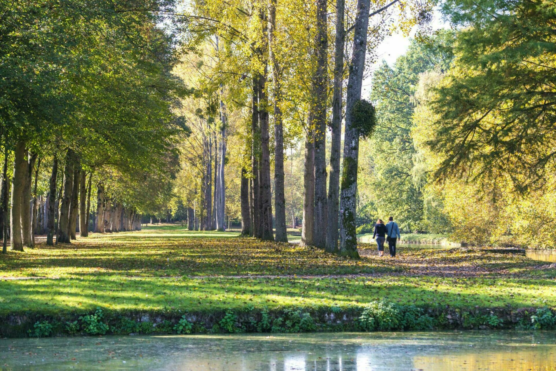 forêt de Rambouillet pour un weekend en amoureux proche de Paris