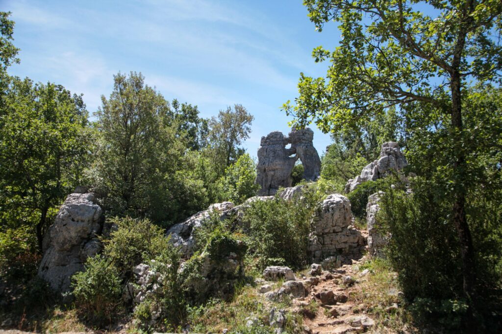 Le bois de Païolive