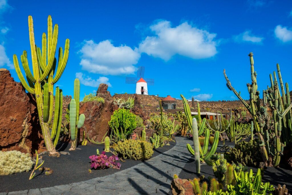 Le Jardin des Cactus à Lanzarote