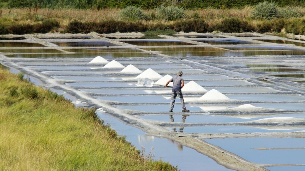 marais salants Vendée