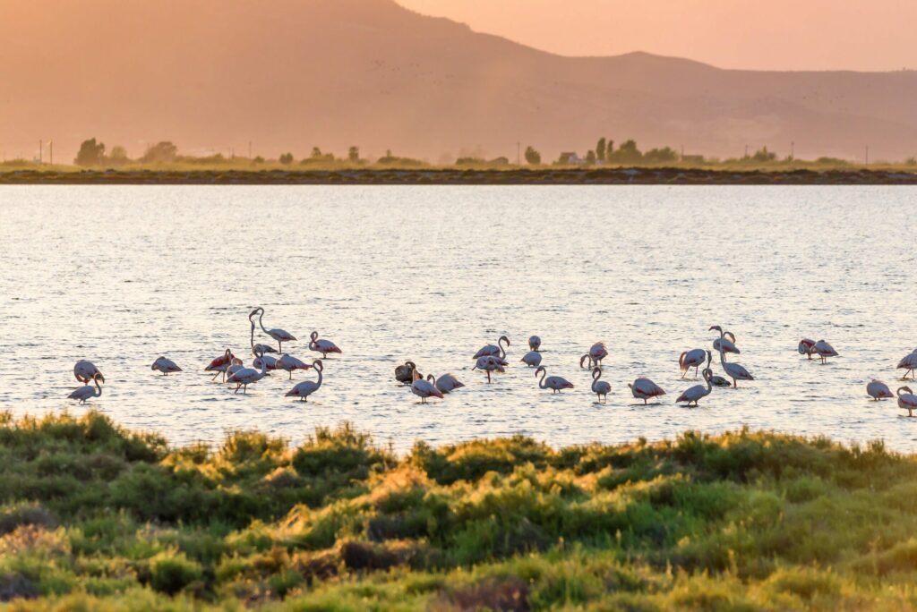 Parc Delta de l’Ebre