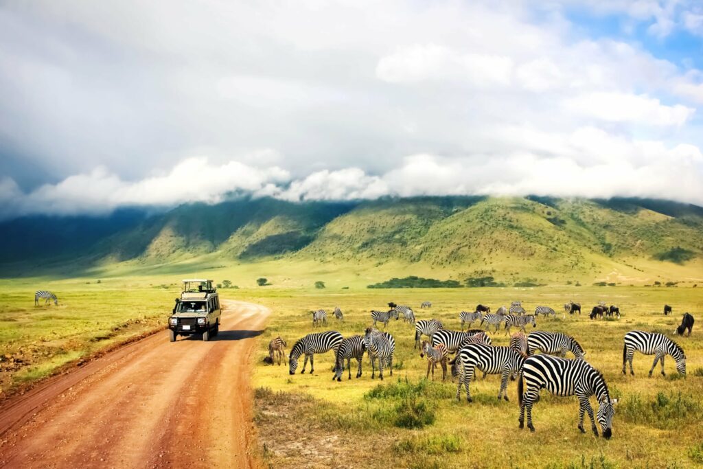 Partir à la découverte de la Tanzanie