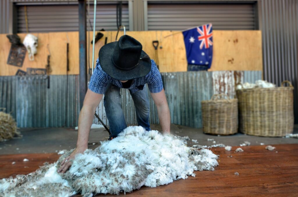 Travailler dans une ferme en Australie