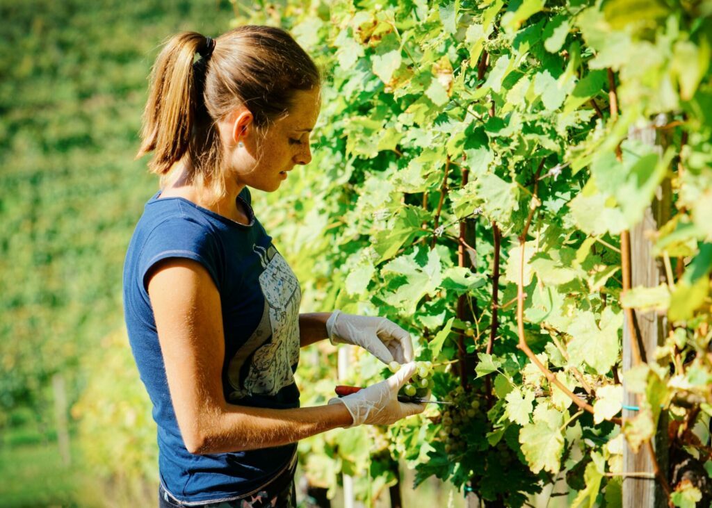 travailler en voyageant avec Workaway