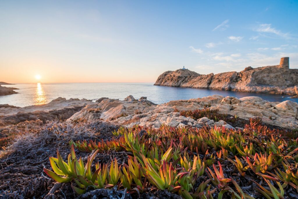 île Rousse