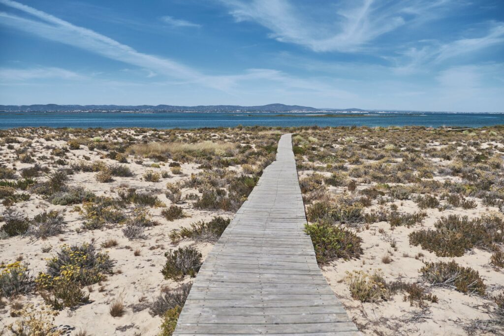 Ilha Deserta à Faro