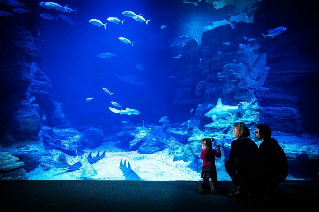 Un bassin du Planet Ocean Montpellier