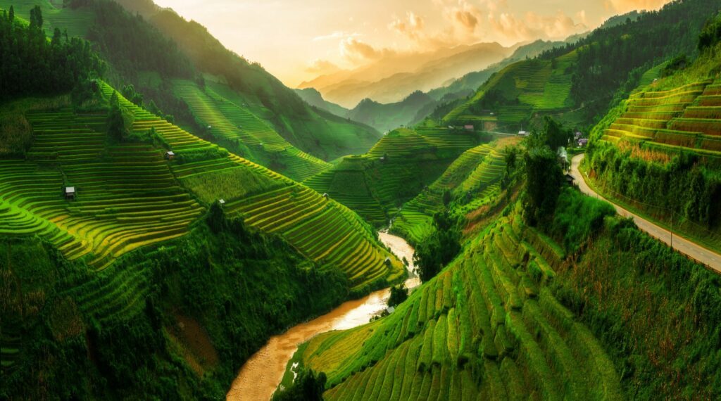 pola ryżowe w wietnamie