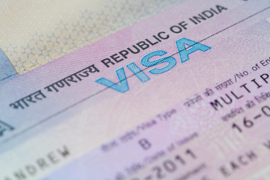 hindistan ticari vize