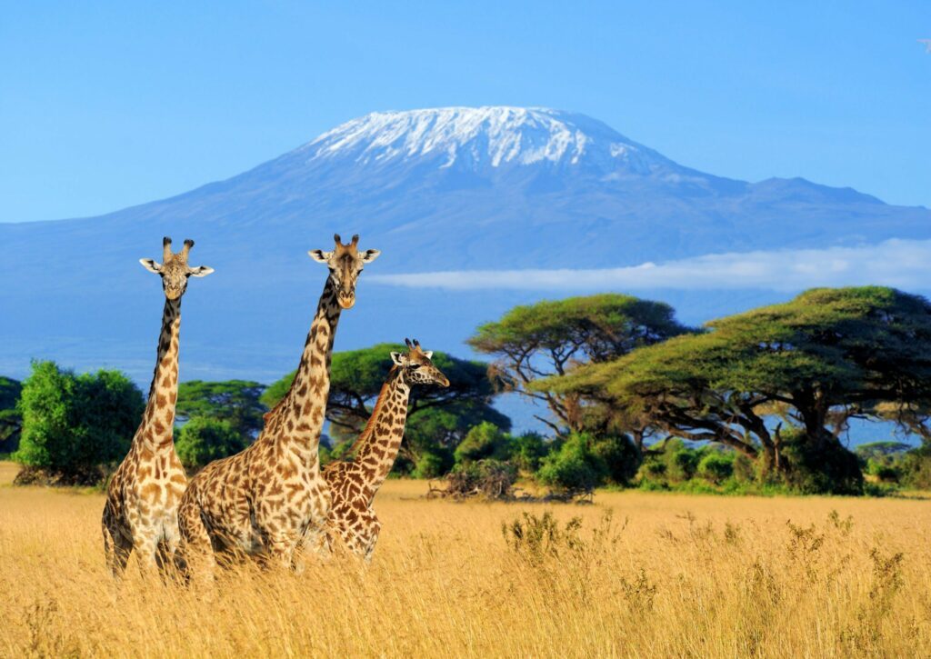 visiter le Kenya