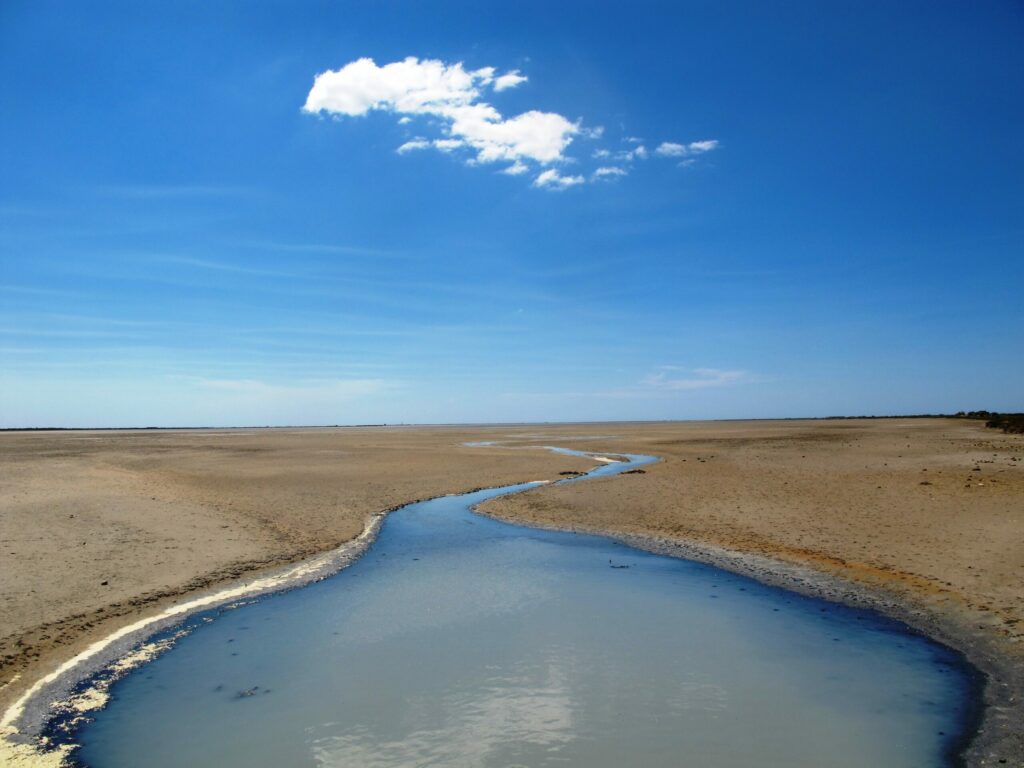 Le Marais de Vigueirat en Camargue