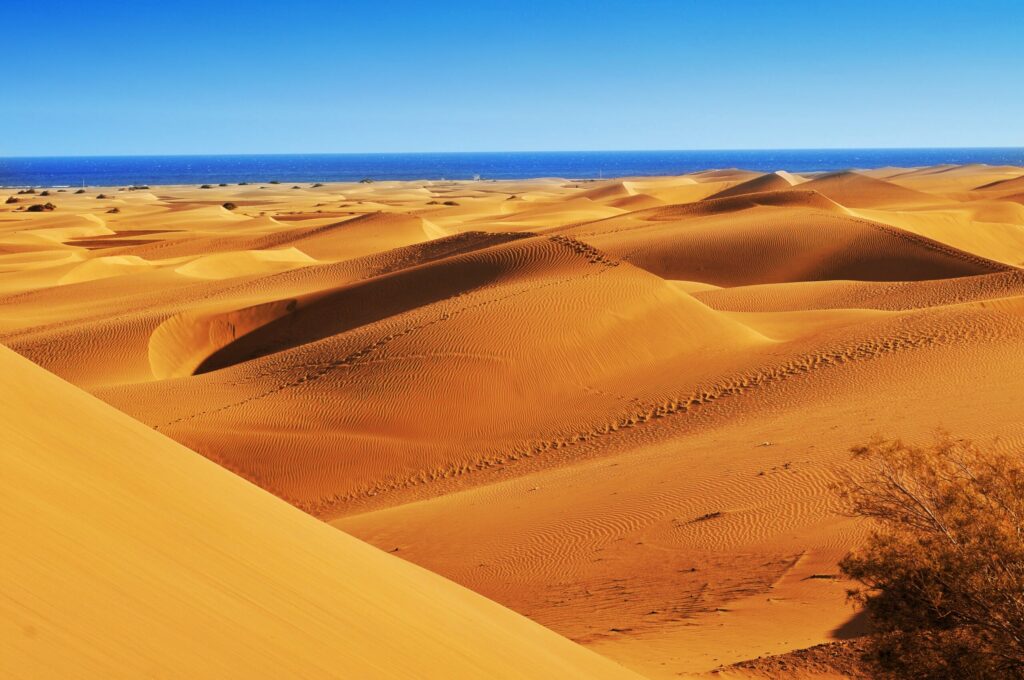 Les dunes de Maspalomas