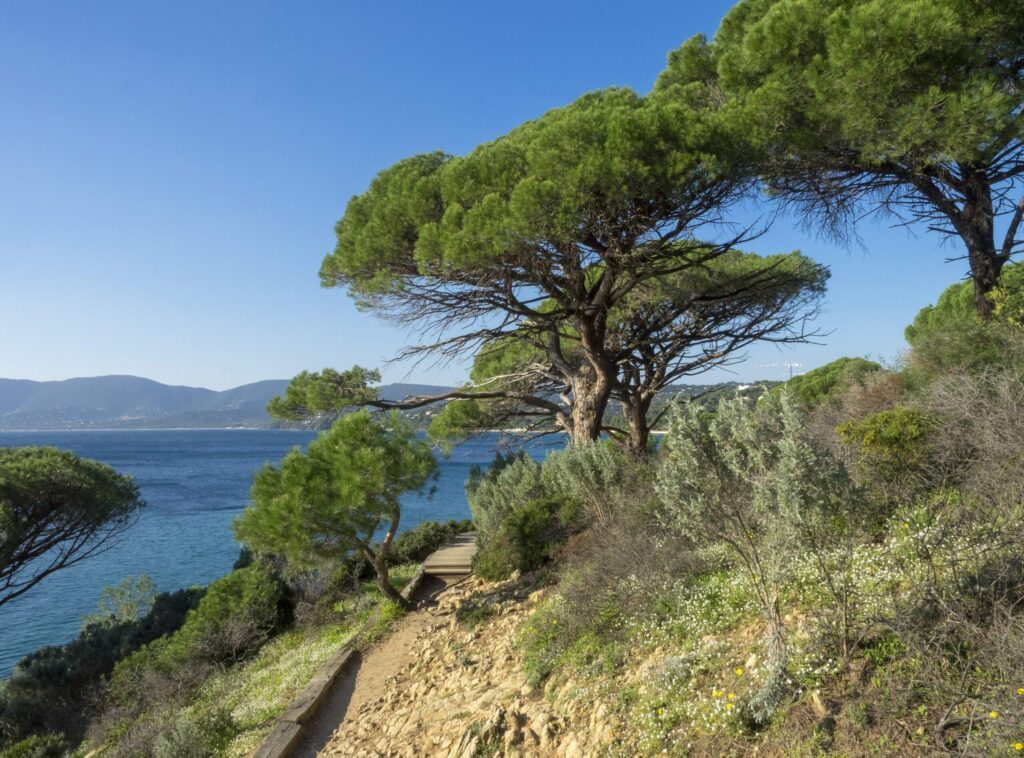 sentier littoral à faire à Saint-Tropez