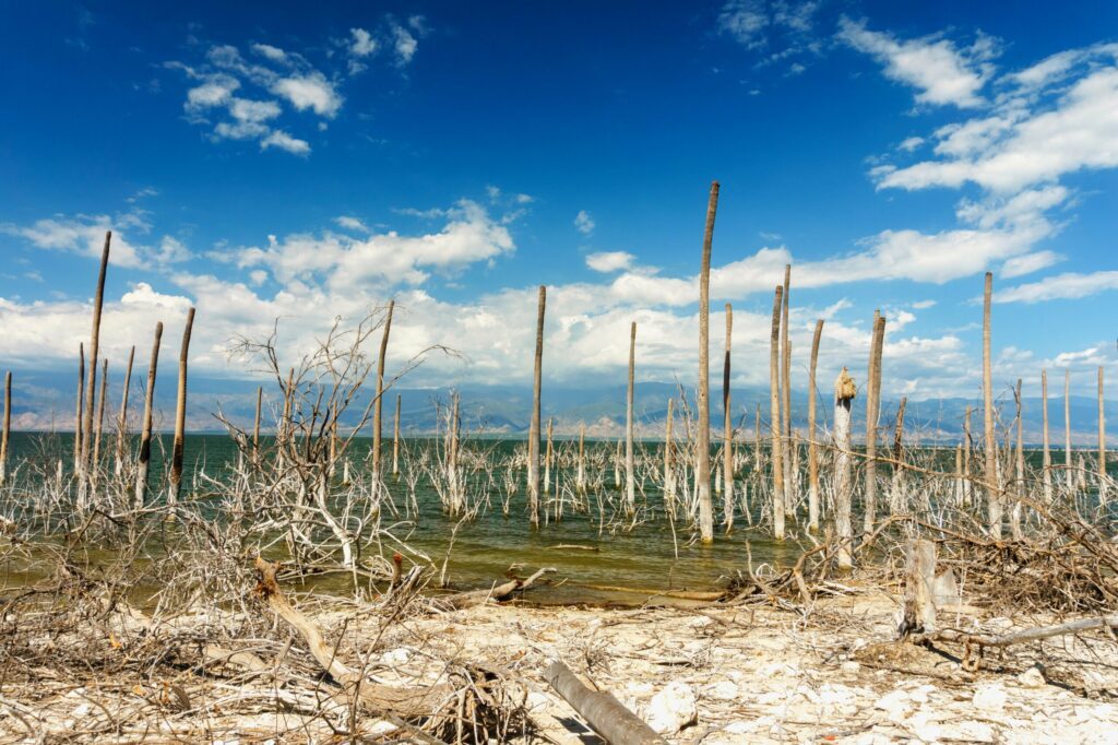 L'étonnant lac Enriquillo