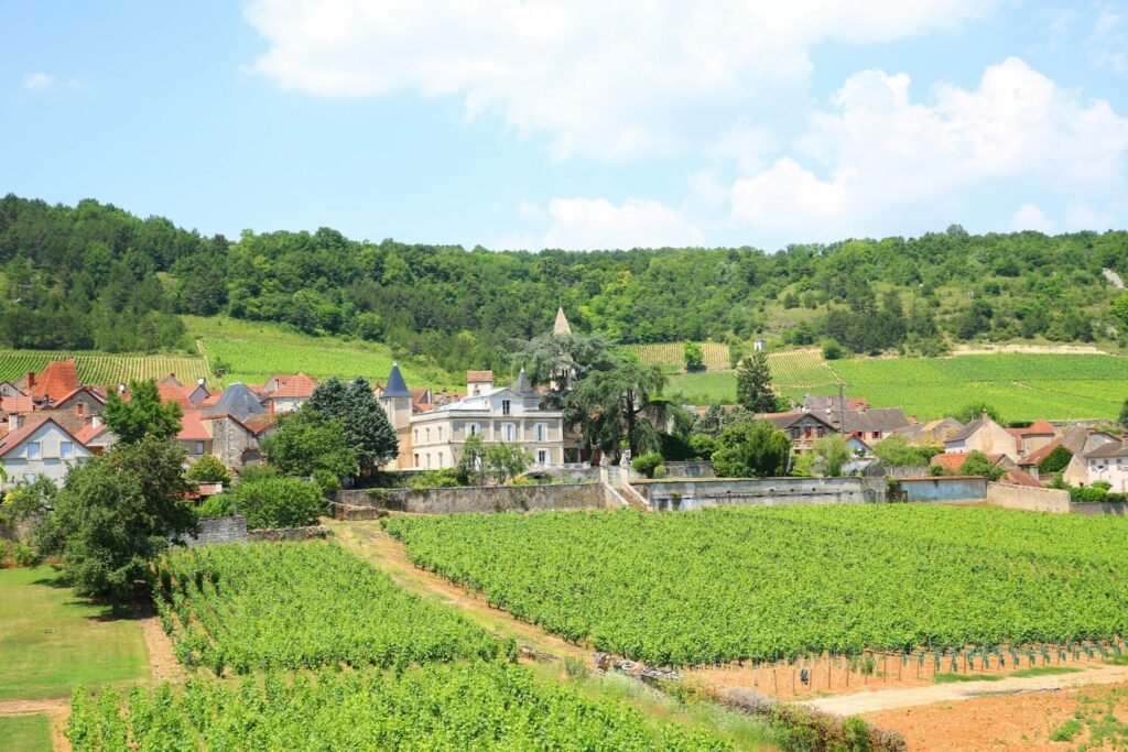 La Route des Grands Crus en Bourgogne