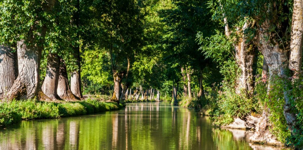 Le marais Poitevin en France