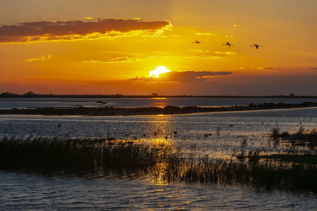 Le parc national de Camargue