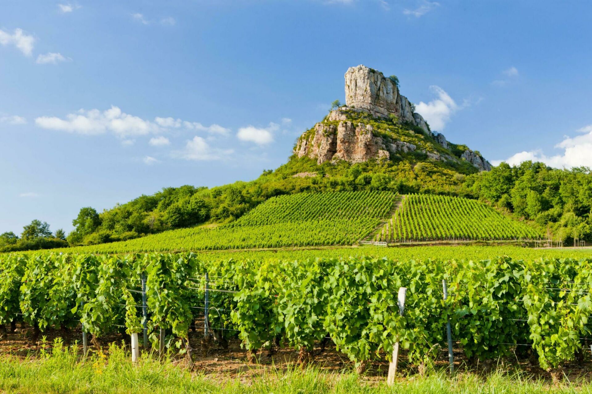 Que faire en Bourgogne