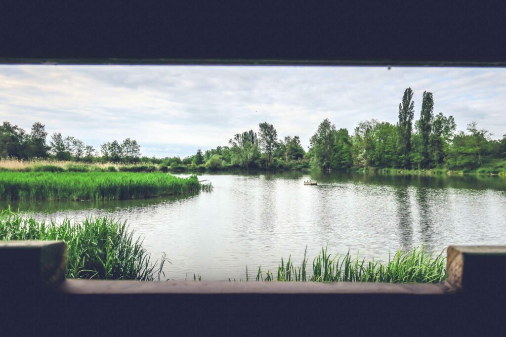 La Gravière aux oiseaux au nord de Roanne