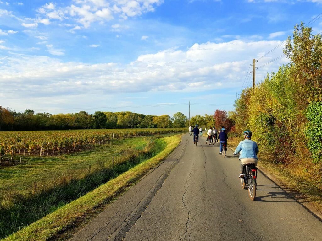 randonnée à vélo dans les vignes bordelaises