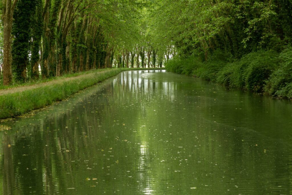 Se balader le long du canal de la Garonne