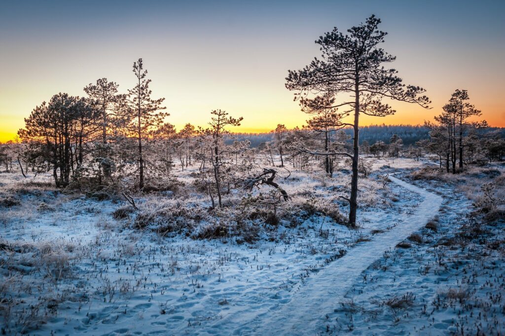 visiter l'Estonie en hiver