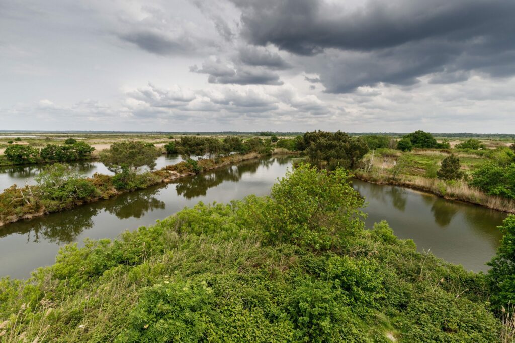 La réserve ornithologique du Teich