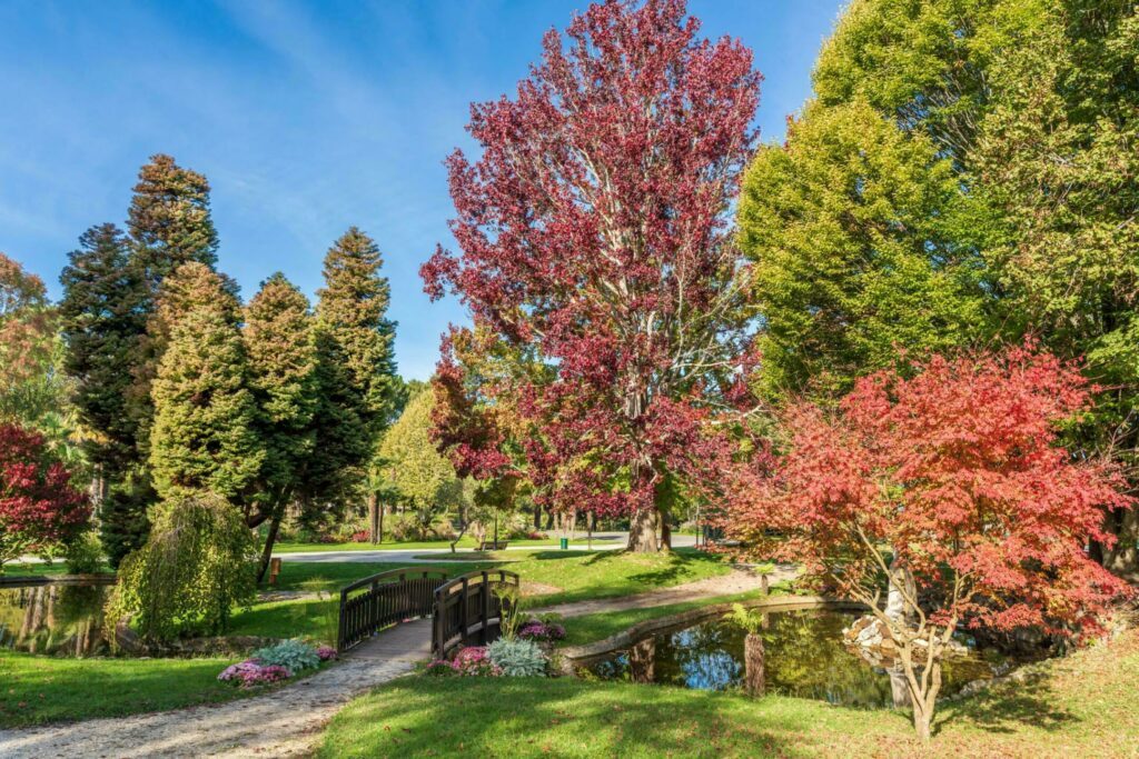 Le parc Mauresque à Arcachon