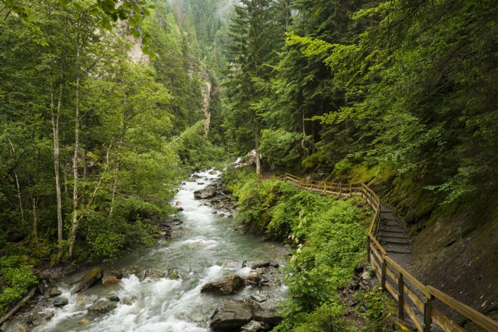 Les gorges de Diosaz