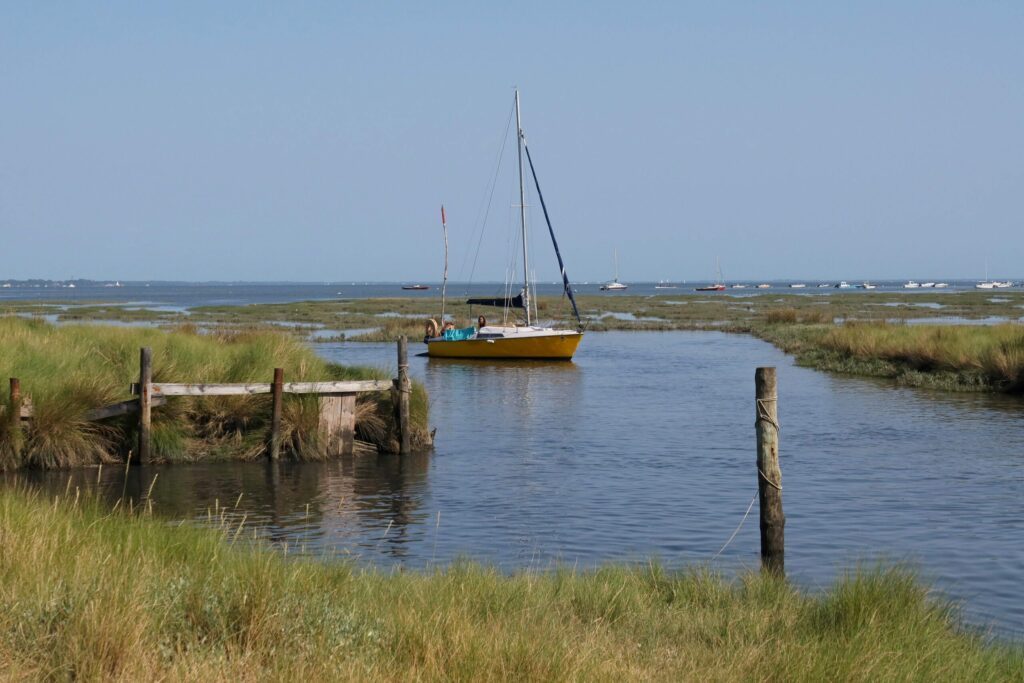 Les prés salés d’Arès