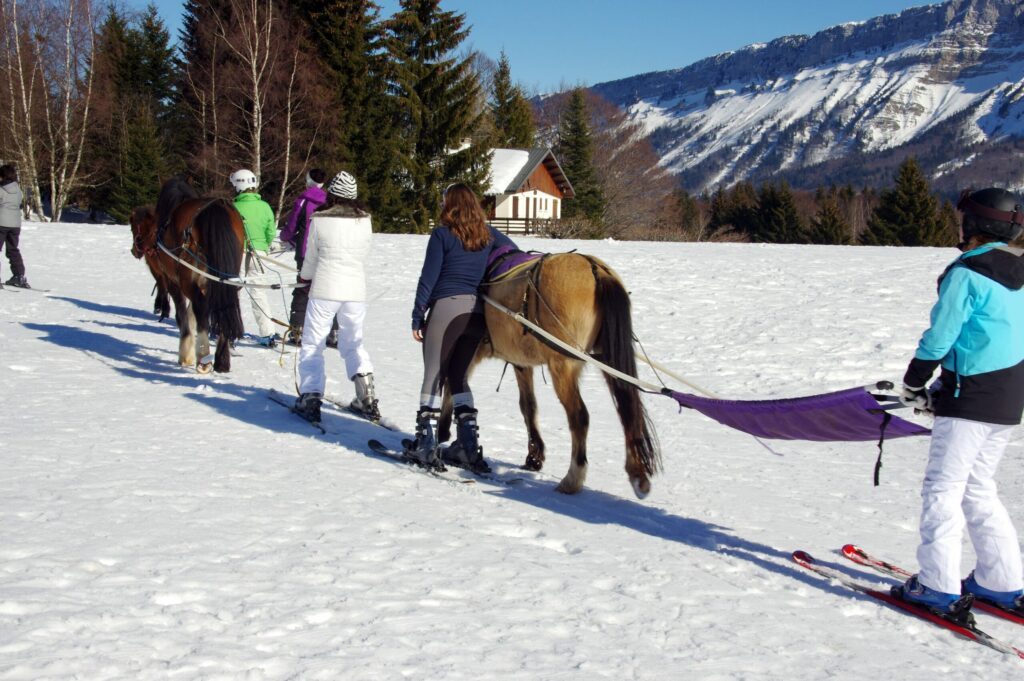 Découvrez le Ski Joering