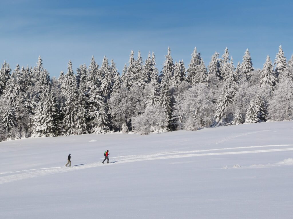 Faire du ski de fond dans les Vosges