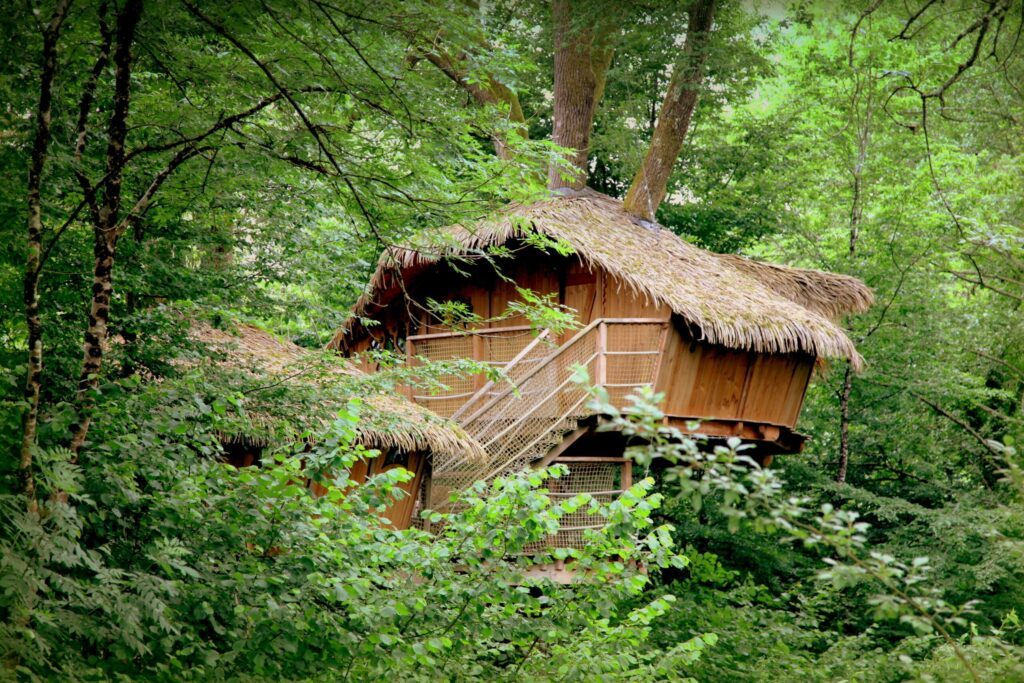 type de camping : Une cabane dans les arbres
